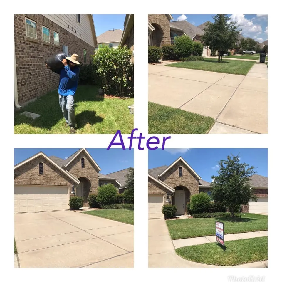 Reliable residential landscaping experts serving Baytown, TX - Ephesians Lawncare