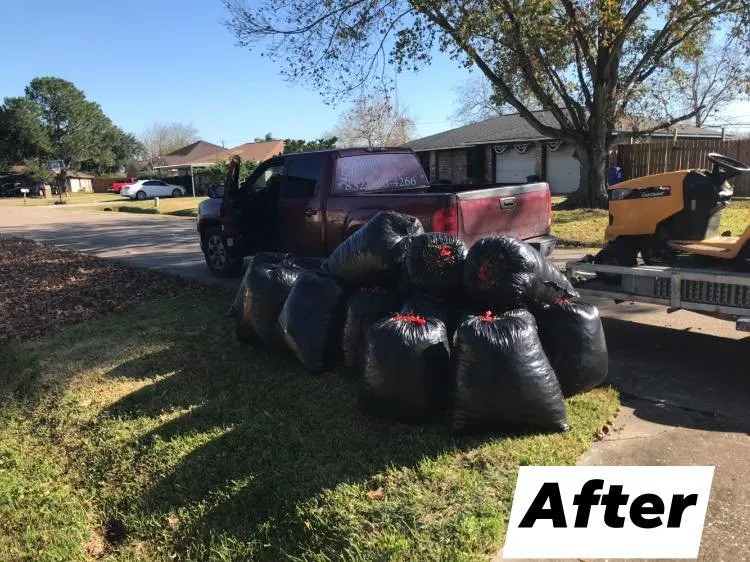 Expert landscaping services for beautiful yards in Baytown, TX by Ephesians Lawncare