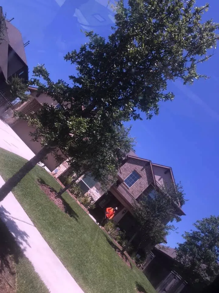 Professional lawn mowing service in Baytown, TX by Ephesians Lawncare