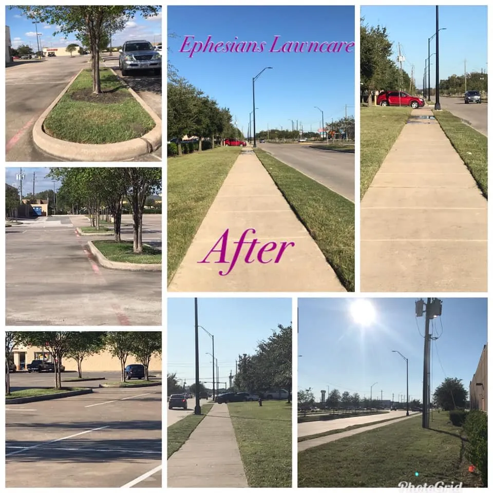 Professional landscaping services experts serving Baytown, TX - Ephesians Lawncare