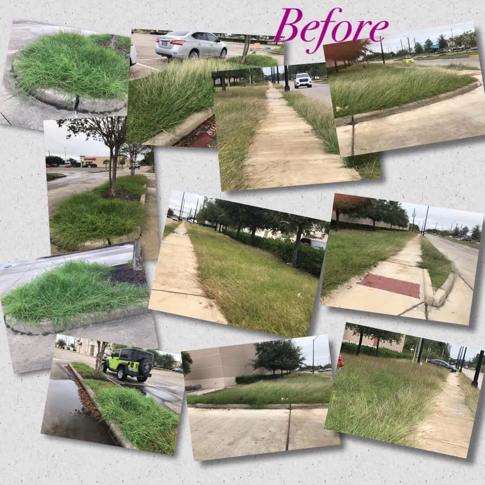 Expert garden landscaping for beautiful yards in Baytown, TX by Ephesians Lawncare