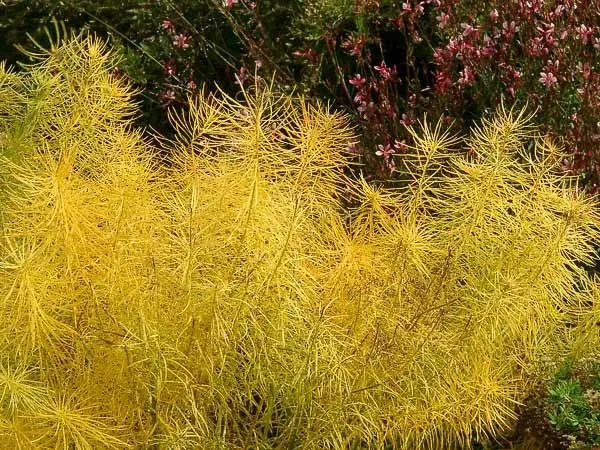 Affordable landscape design experts serving Ephrata, PA - Ephrata Land Care Services