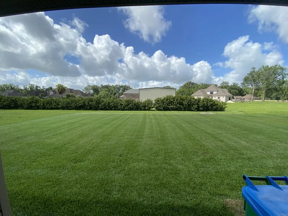 Reliable landscaping services for beautiful yards in Baton Rouge, LA by Epic Cuttz Lawn Service