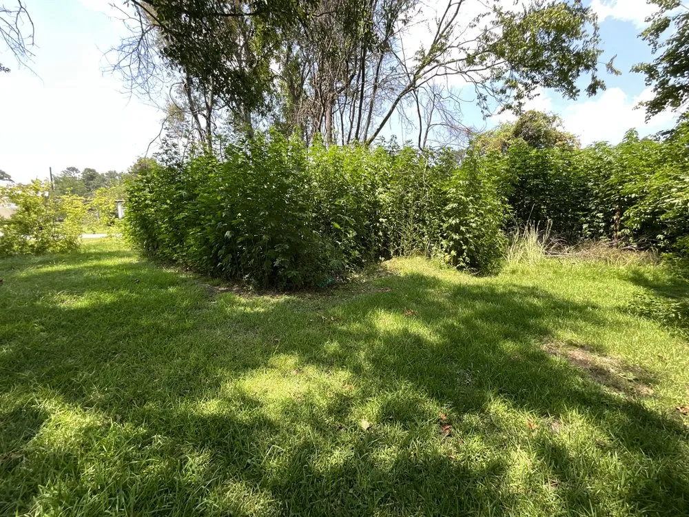 Reliable lawn care service for beautiful yards in Baton Rouge, LA by Epic Cuttz Lawn Service