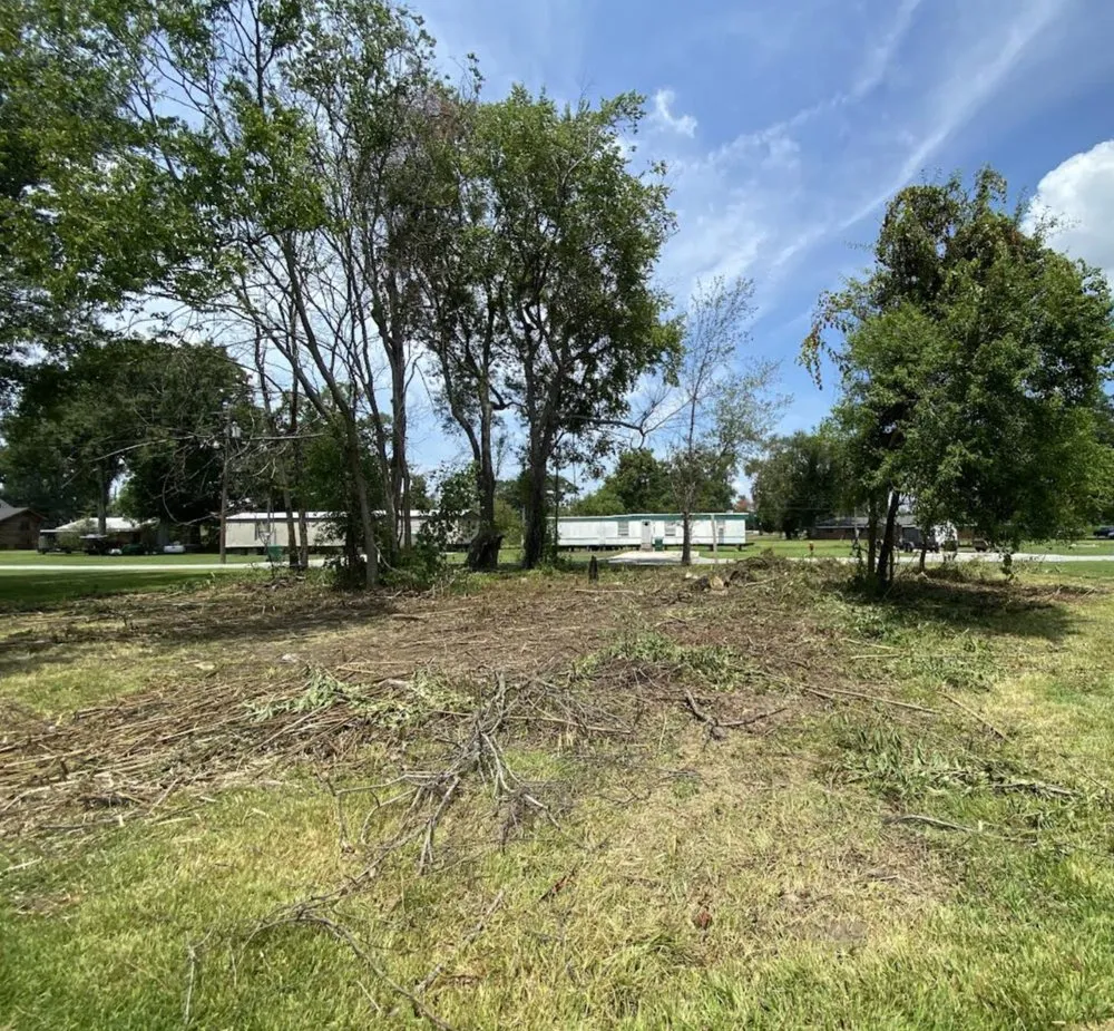 Affordable landscaping services for year-round maintenance in Baton Rouge, LA by Epic Cuttz Lawn Service