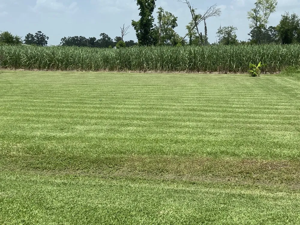 Trusted residential landscaping in Baton Rouge, LA - Epic Cuttz Lawn Service