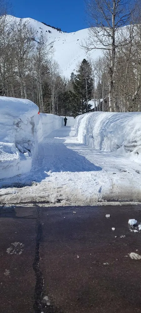 Reliable yard cleanup service in Bishop, CA by Epic Elevations