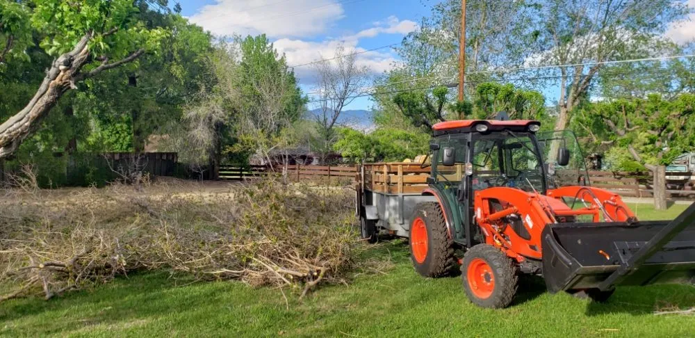 Trusted lawn mowing service experts serving Bishop, CA - Epic Elevations