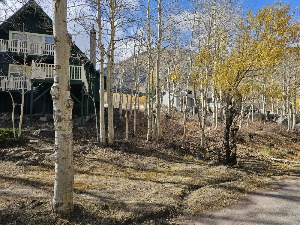 Local landscape installation for residential properties across Bishop, CA - Epic Elevations