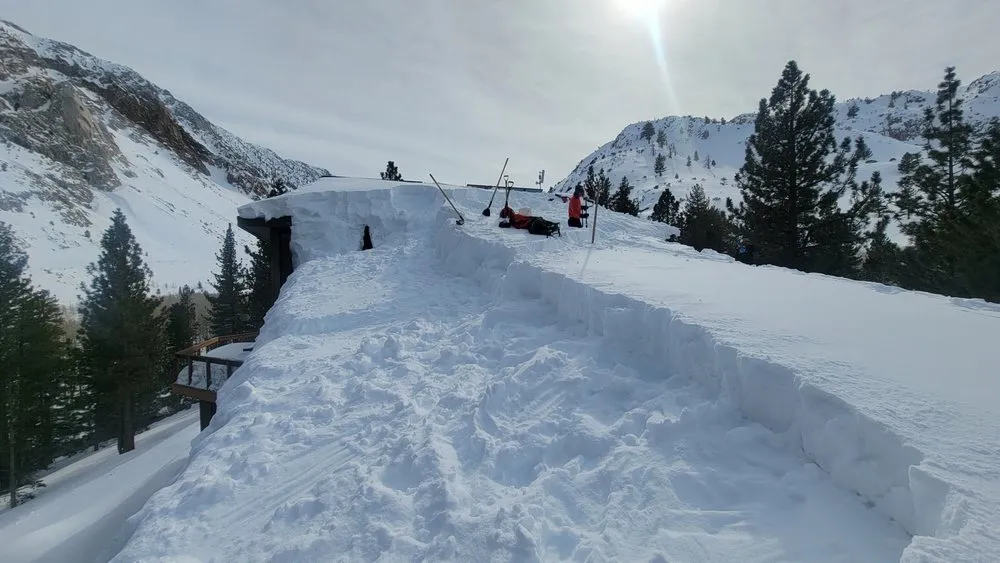 Top-rated lawn care service for beautiful yards across Bishop, CA - Epic Elevations