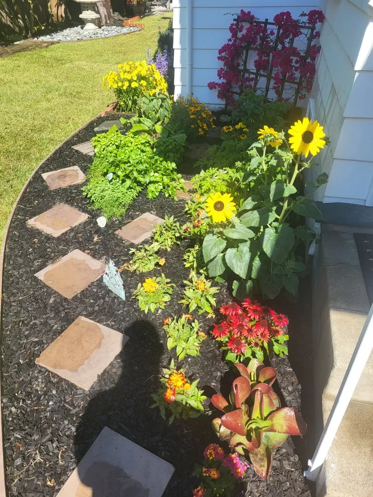 Reliable lawn mowing service in Oakland, CA by Epic Garden and Landscape