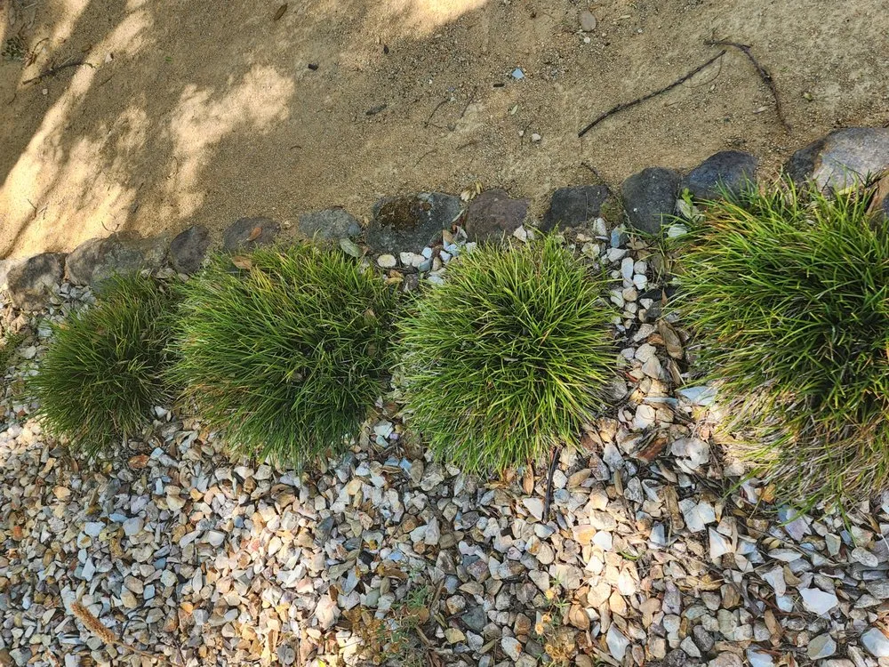 Professional landscape design in Oakland, CA by Epic Garden and Landscape