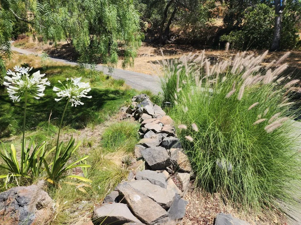 Reliable residential landscaping in Oakland, CA - Epic Garden and Landscape