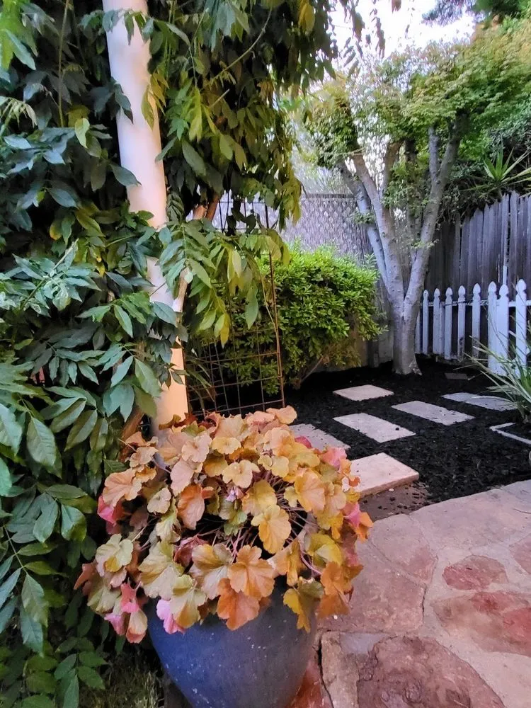 Custom landscape design experts serving Oakland, CA - Epic Garden and Landscape