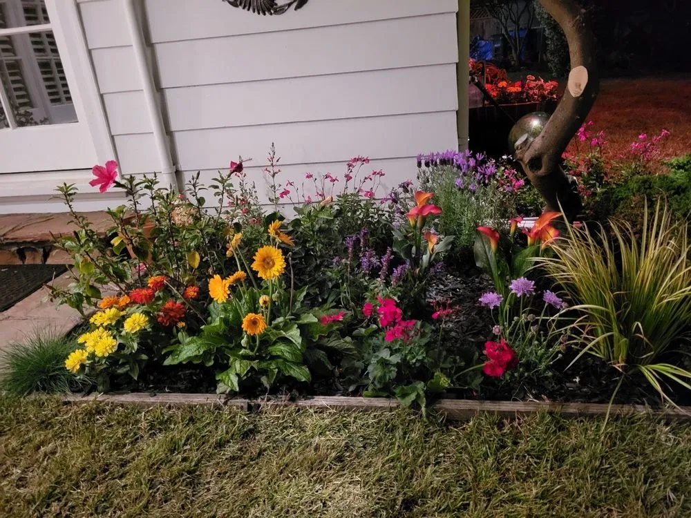 Affordable yard cleanup service in Oakland, CA - Epic Garden and Landscape