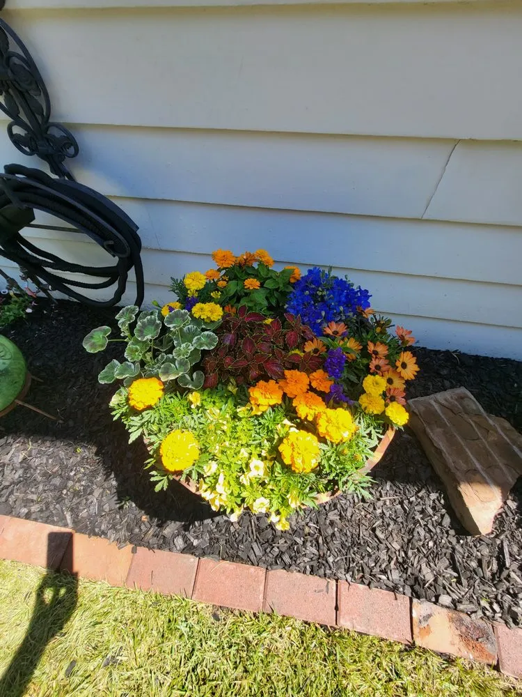 Trusted yard cleanup service experts serving Oakland, CA - Epic Garden and Landscape