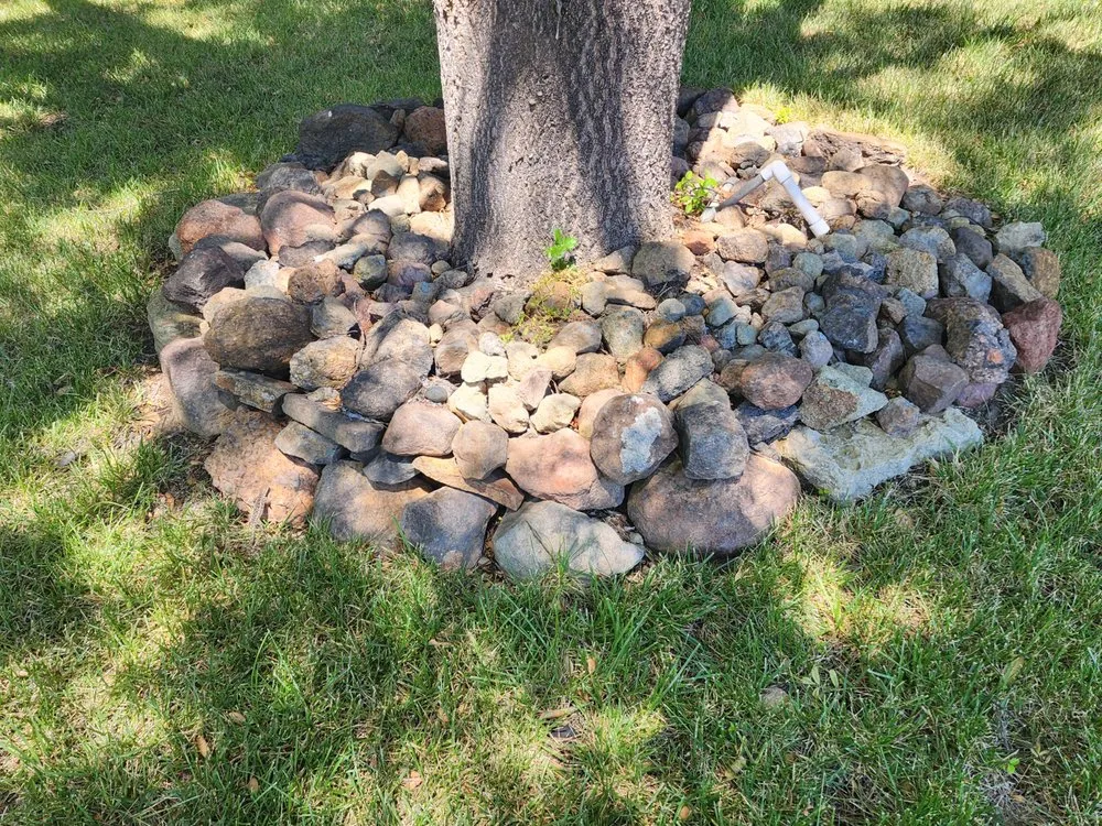 Expert outdoor landscaping experts serving Oakland, CA - Epic Garden and Landscape