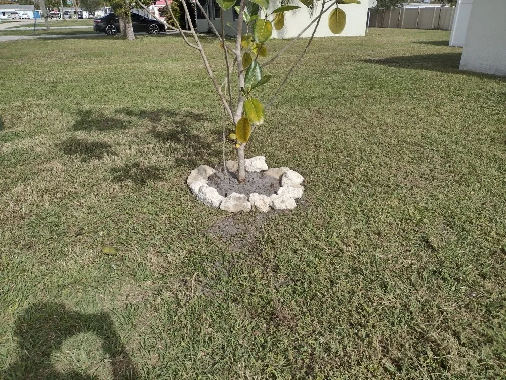 Expert landscape design in North Port, FL by Epic Horizons Landscaping -- North Port