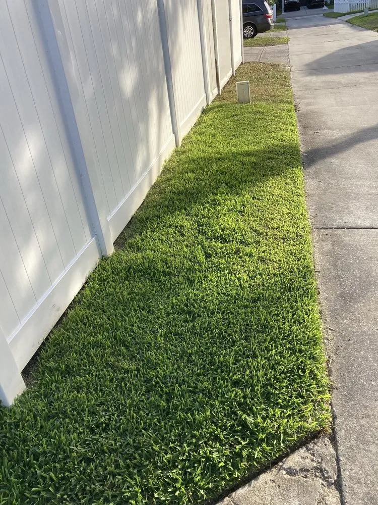 Affordable landscape installation experts serving Orlando, FL - Epic Horticultural