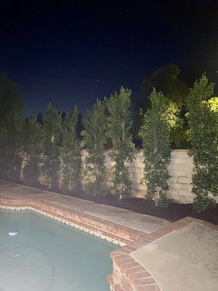 Reliable lawn care service in Moorpark, CA - Epic Landscape