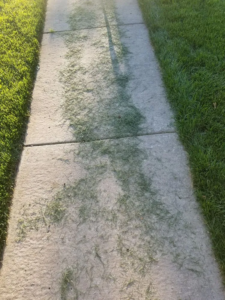 Expert outdoor landscaping in Olathe, KS - Epic Landscape Productions