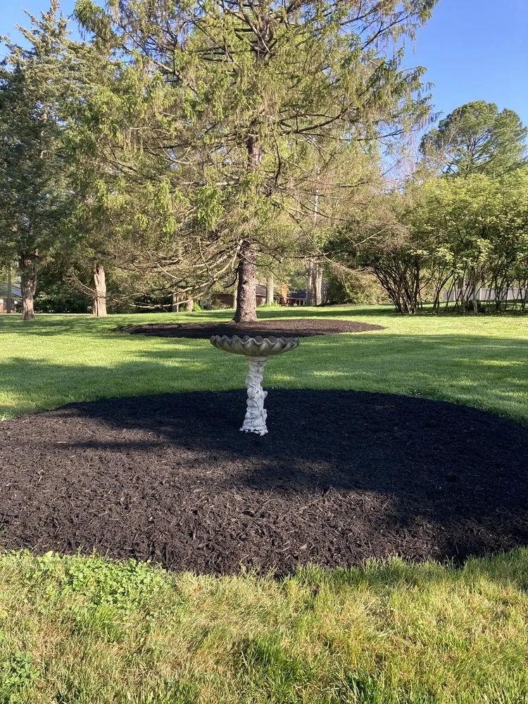 Reliable lawn care service in St. Louis, MO by Epic Landscaping and Tree Service