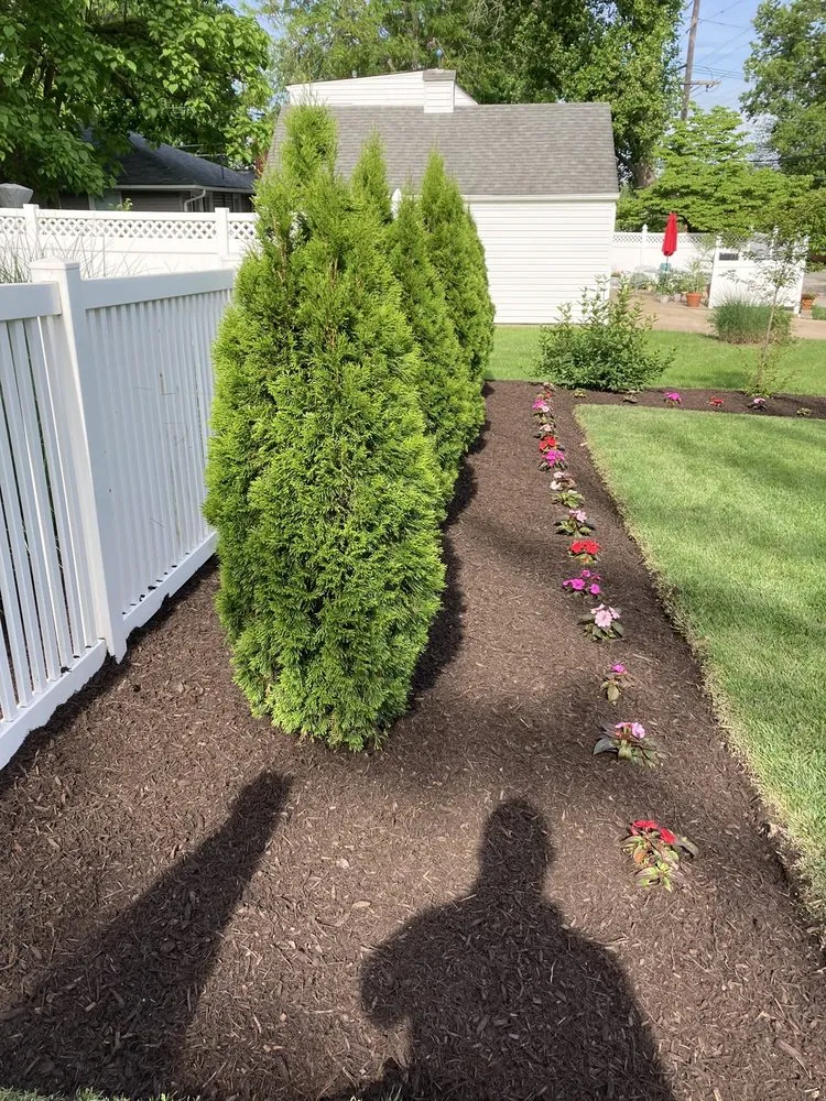 Expert yard cleanup service in St. Louis, MO - Epic Landscaping and Tree Service