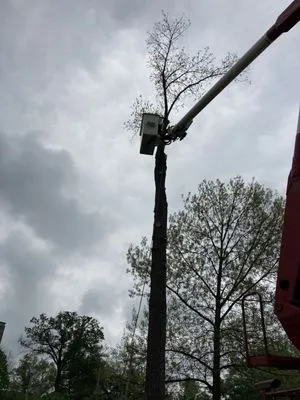 Epic Landscaping and Tree Service Logo