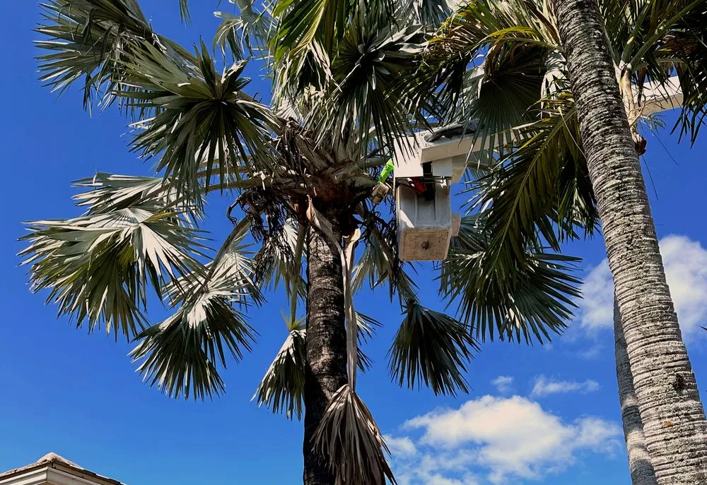 Custom landscape installation in Southwest Ranches, FL by Epic Landscaping