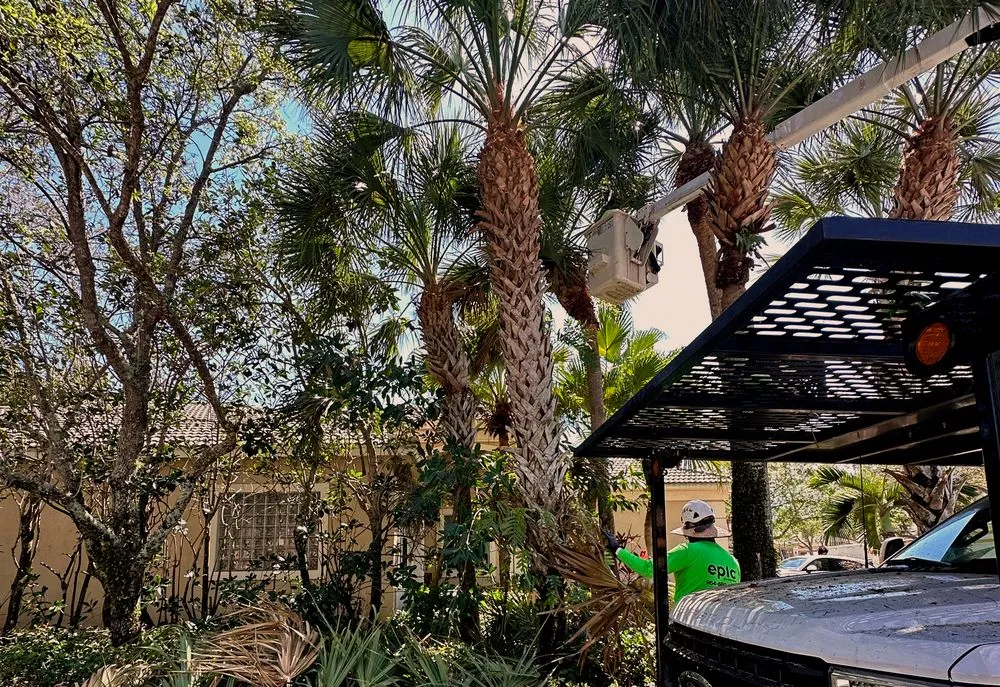 Affordable landscape design in Southwest Ranches, FL - Epic Landscaping