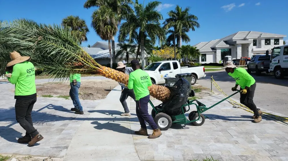 Top-rated yard cleanup service in Southwest Ranches, FL - Epic Landscaping