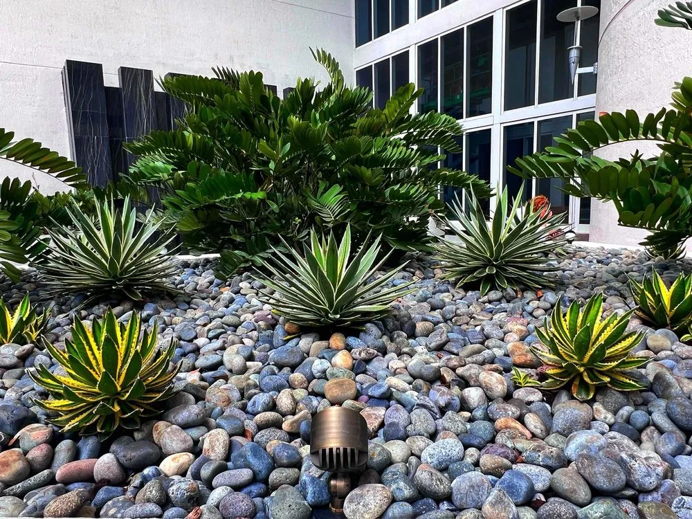 Top-rated residential landscaping for beautiful yards across Southwest Ranches, FL - Epic Landscaping