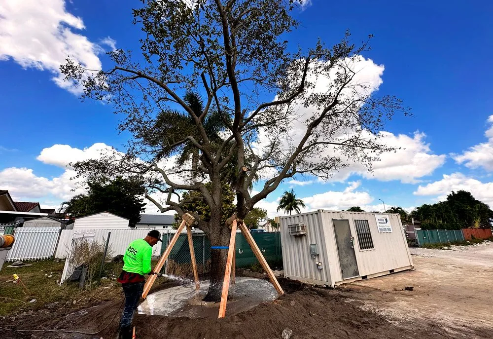 Local landscaping services in Southwest Ranches, FL - Epic Landscaping