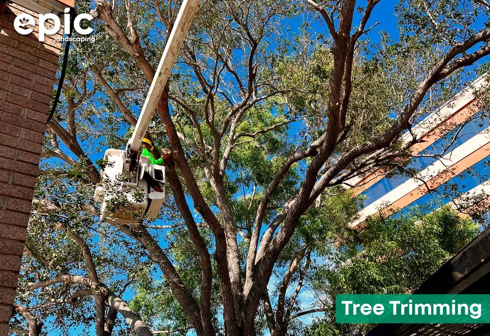 Trusted yard maintenance for year-round maintenance across Southwest Ranches, FL - Epic Landscaping