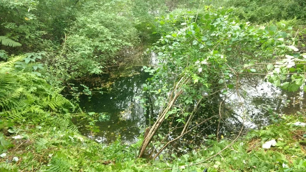 Expert landscaping services for outdoor upgrades across Windham, CT - EPIC Landscaping