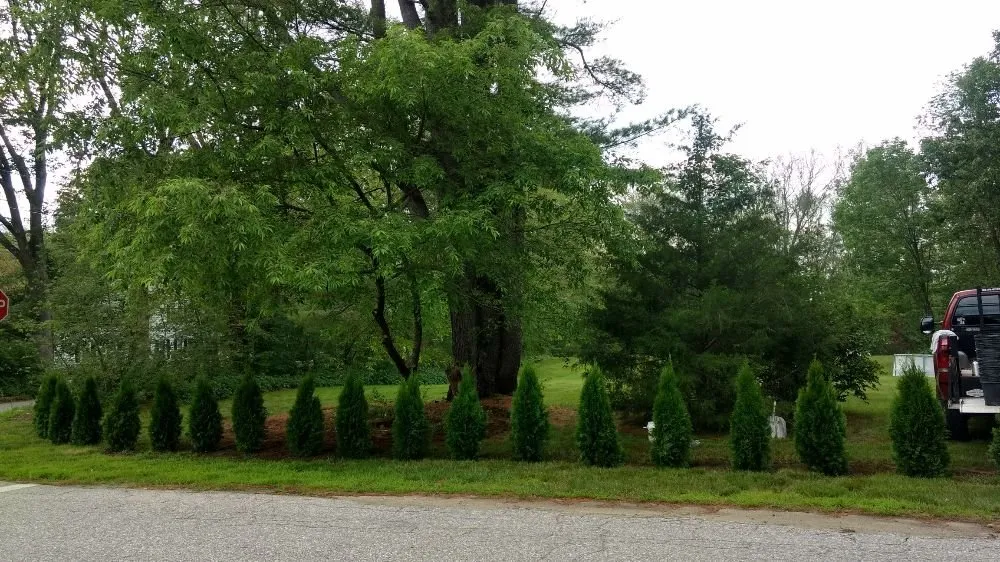Reliable yard cleanup service for beautiful yards in Windham, CT by EPIC Landscaping