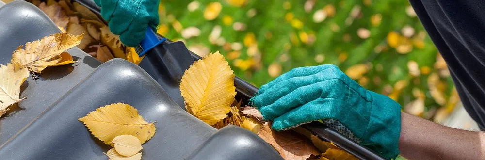 Affordable residential landscaping in Gallatin, TN by Epic Lawn and Trees