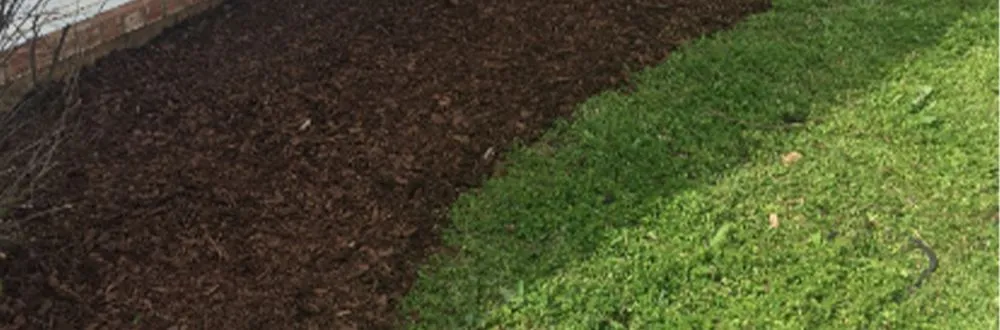 Expert yard maintenance for homes across Gallatin, TN - Epic Lawn and Trees