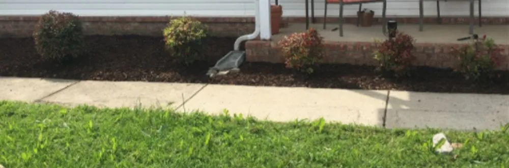 Local yard maintenance experts serving Gallatin, TN - Epic Lawn and Trees