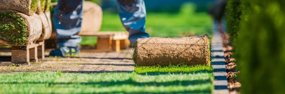 Reliable outdoor landscaping for outdoor upgrades in Gallatin, TN by Epic Lawn and Trees