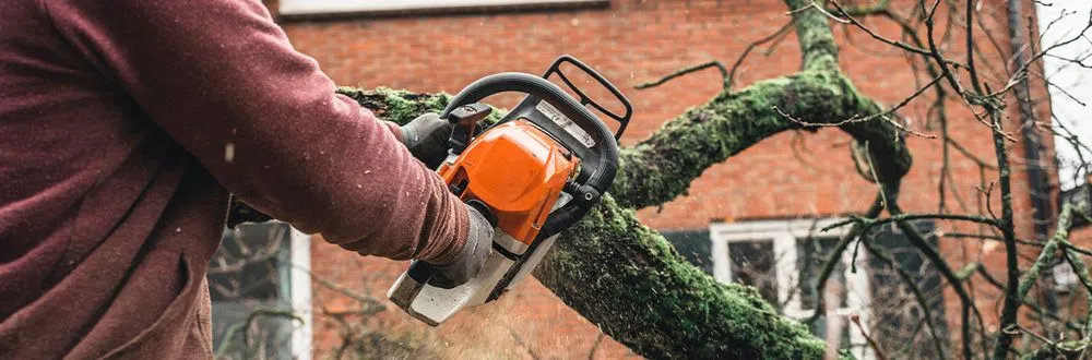 Trusted garden landscaping in Gallatin, TN - Epic Lawn and Trees