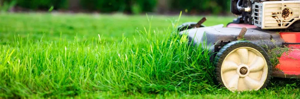 Affordable residential landscaping experts serving Gallatin, TN - Epic Lawn and Trees