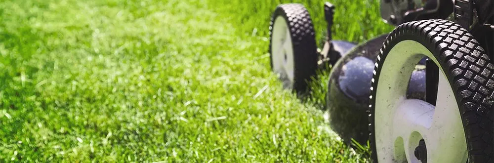 Top-rated residential landscaping for outdoor upgrades in Gallatin, TN by Epic Lawn and Trees