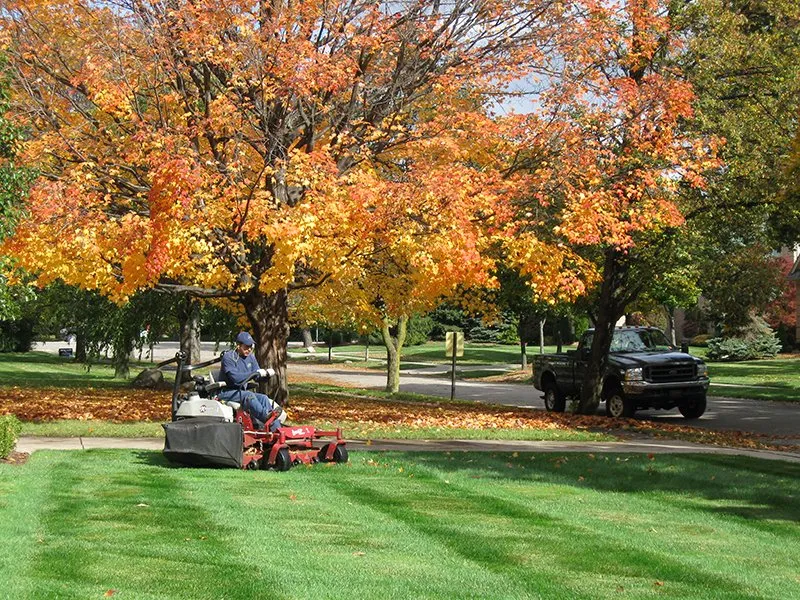 Custom landscaping services for year-round maintenance in Kennewick, WA by Epic Lawn Care & Pest Control