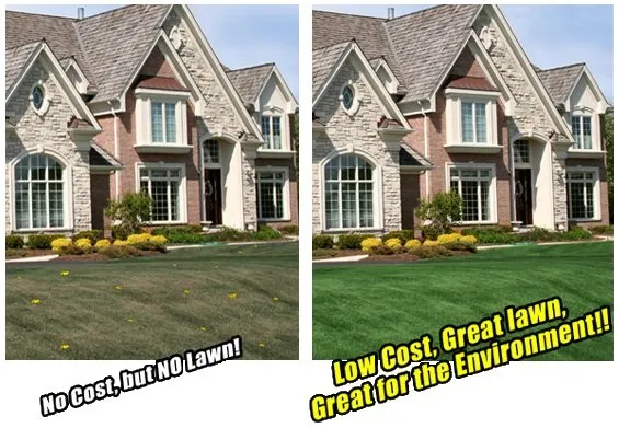 Local landscaping services for residential properties in Kennewick, WA by Epic Lawn Care & Pest Control