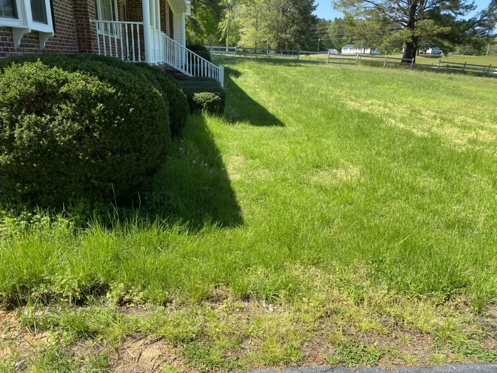 Local yard maintenance in Franklinton, NC by Epic Lawn Care and Services