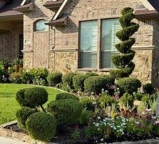 Expert yard maintenance in Carrollton, TX by Epic Lawn Care Of DFW