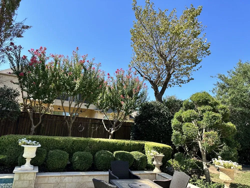 Local landscape installation experts serving Carrollton, TX - Epic Lawn Care Of DFW