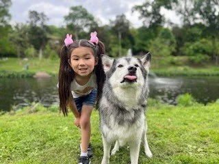 Affordable yard maintenance in Carrollton, TX by Epic Lawn Care Of DFW