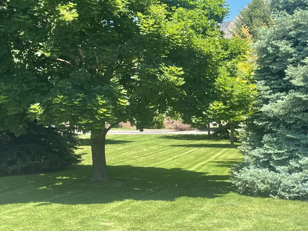 Affordable residential landscaping experts serving Roosevelt, UT - Epic Lawns & Enhancements